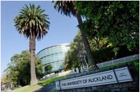University of Auckland 